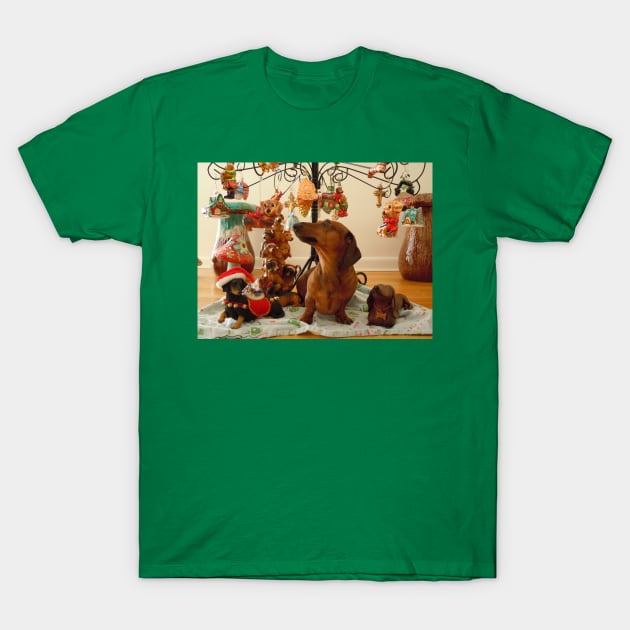 Christmas Dachshund (Version 2) T-Shirt by DebiCady